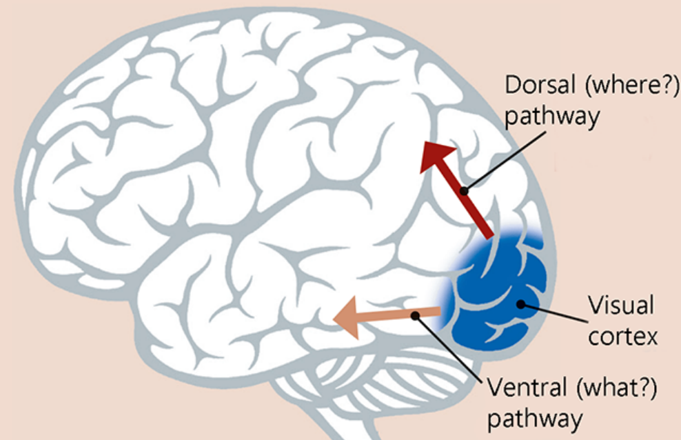 Lecture 1 — original figure 2