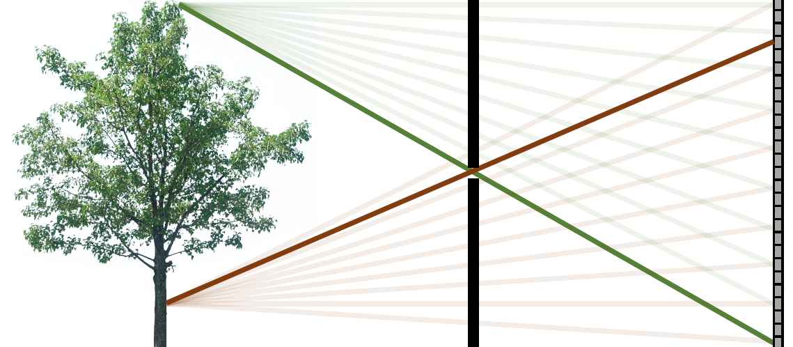 Lecture 2 — original figure 8