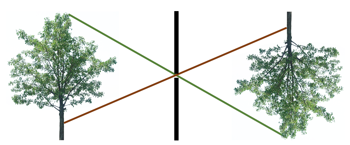 Lecture 2 — original figure 9