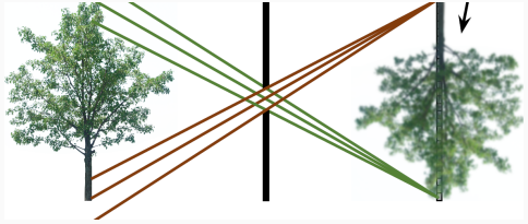 Lecture 2 — original figure 11